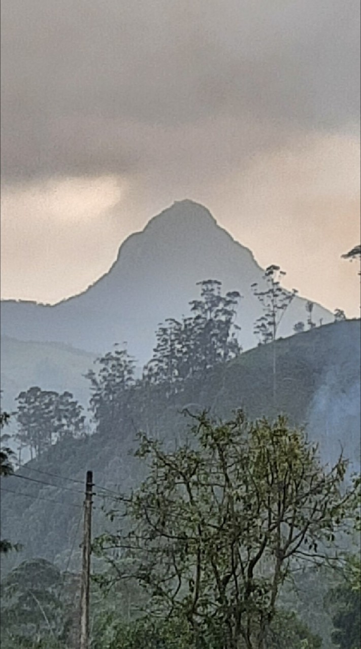 南都生活商行