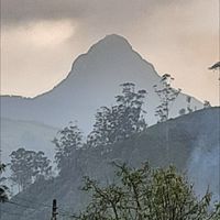南都生活商行