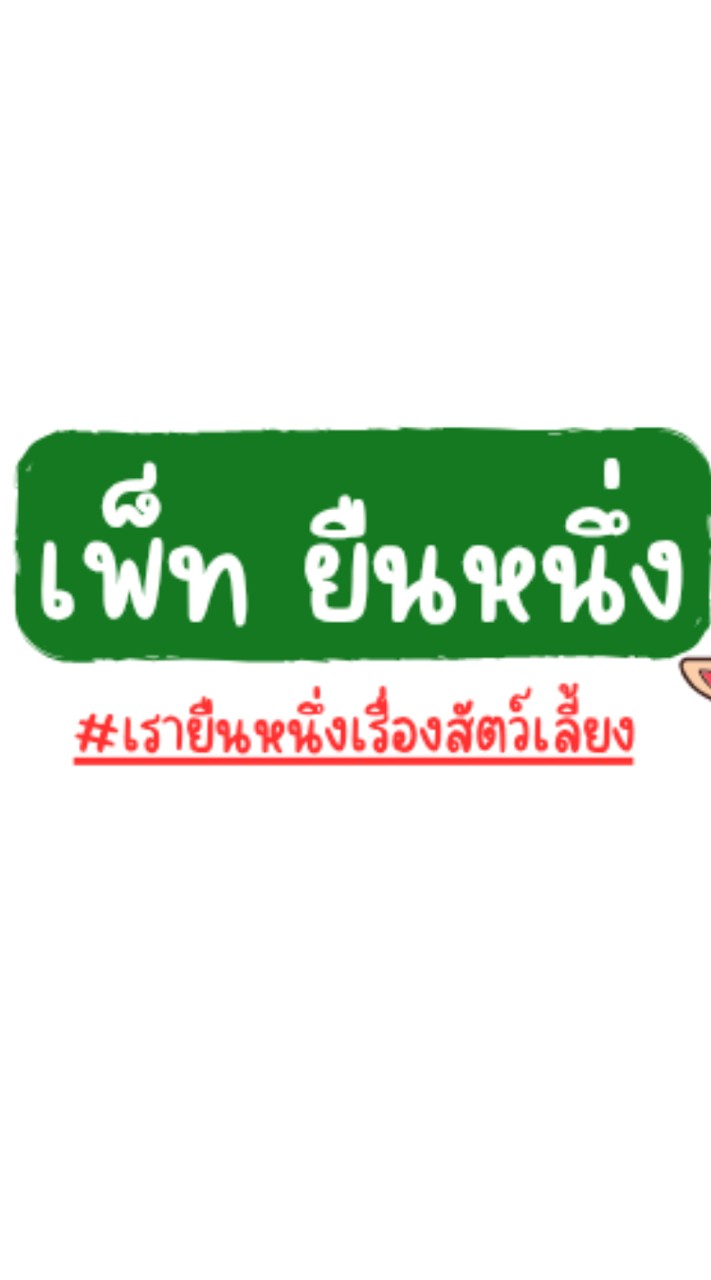 เพ็ท ยืนหนึ่ง