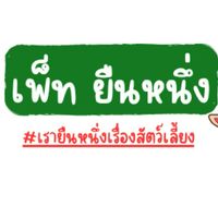 เพ็ท ยืนหนึ่ง