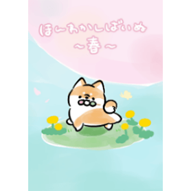 ほんわかしばいぬ～春～