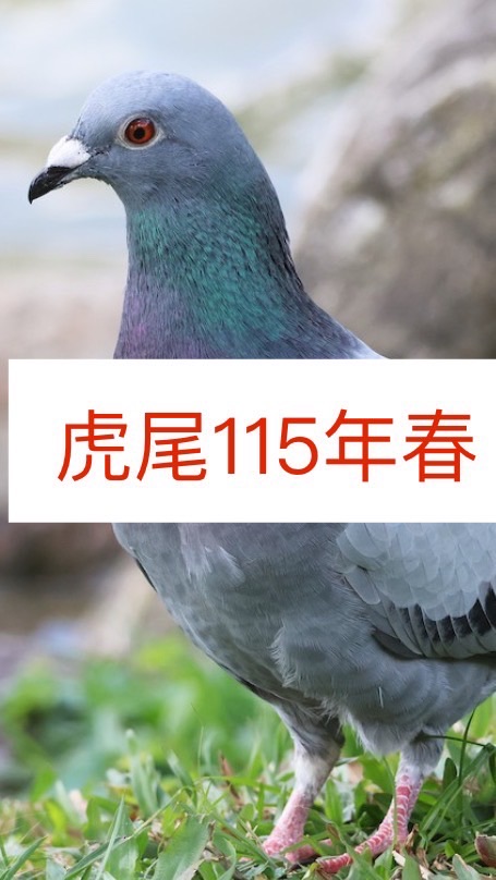 虎尾115年春季會員專群
