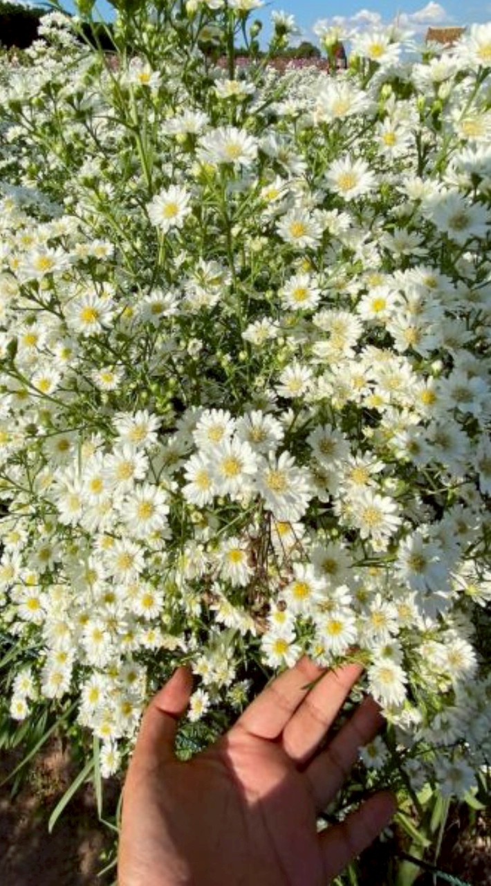 เเนะนำเรื่องในชีวิตกัน