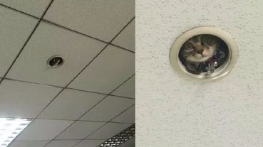 日本上班族在辦公室發現天花板圓洞 「這是老闆新裝的監視器？」