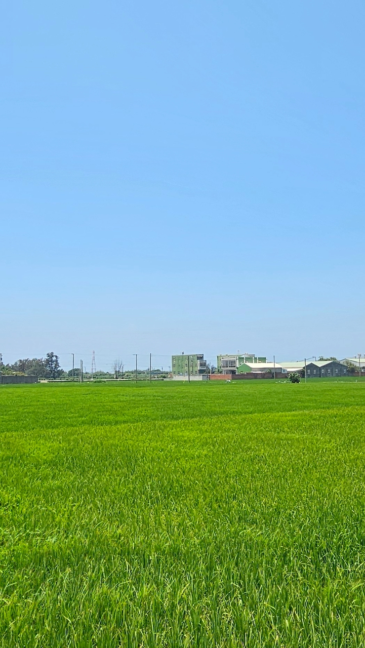 臺傳Line粉絲社群
