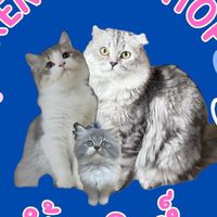 Keng Petshop 🐱🐶🐰🐹