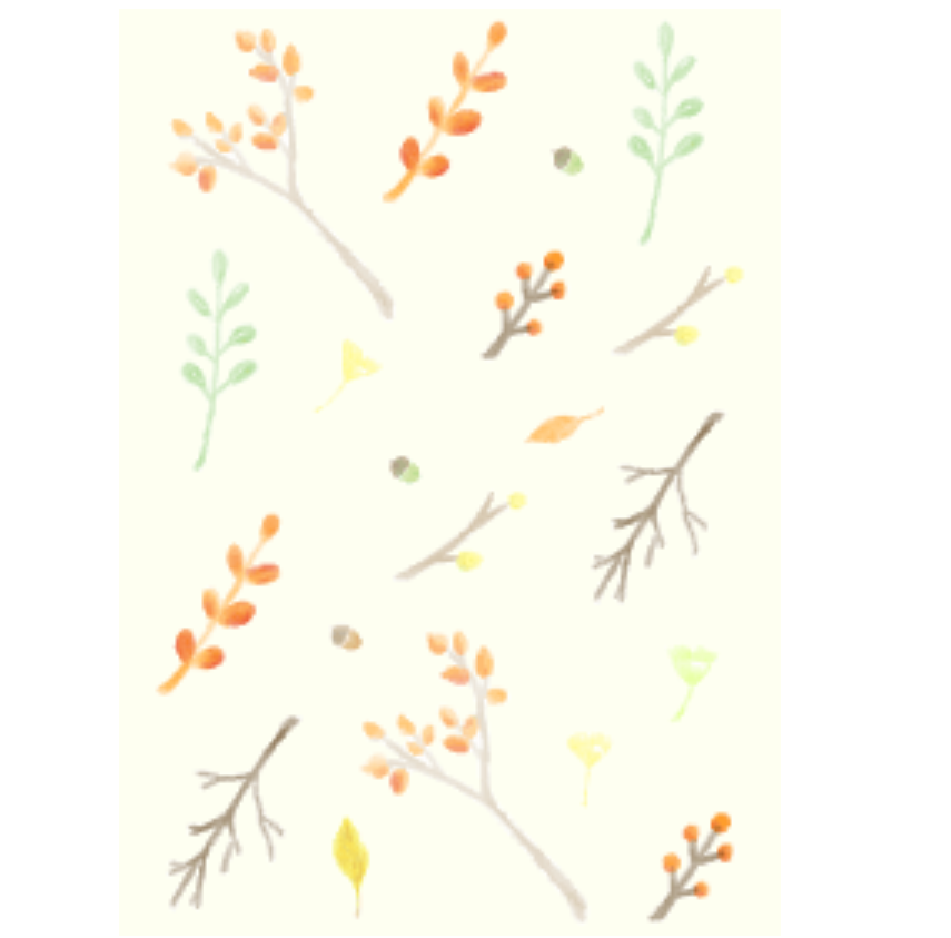 Autumn plants !