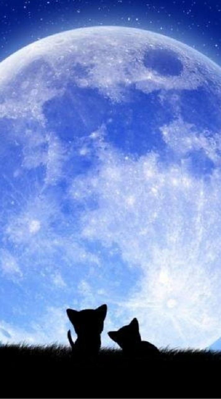 学生の初心者第五人格