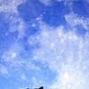 学生の初心者第五人格