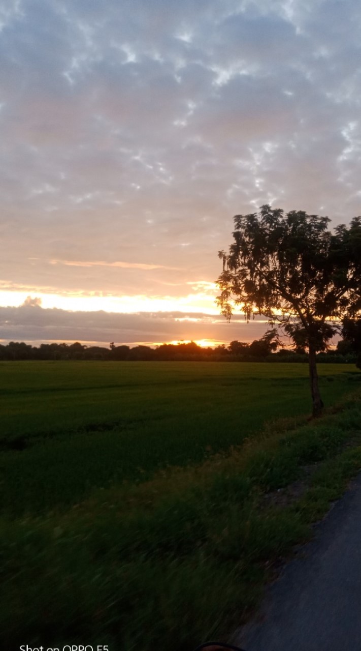 ถ่ายรูปด้วยมือถือ