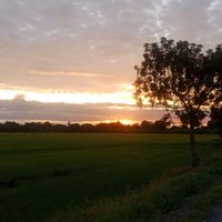 ถ่ายรูปด้วยมือถือ