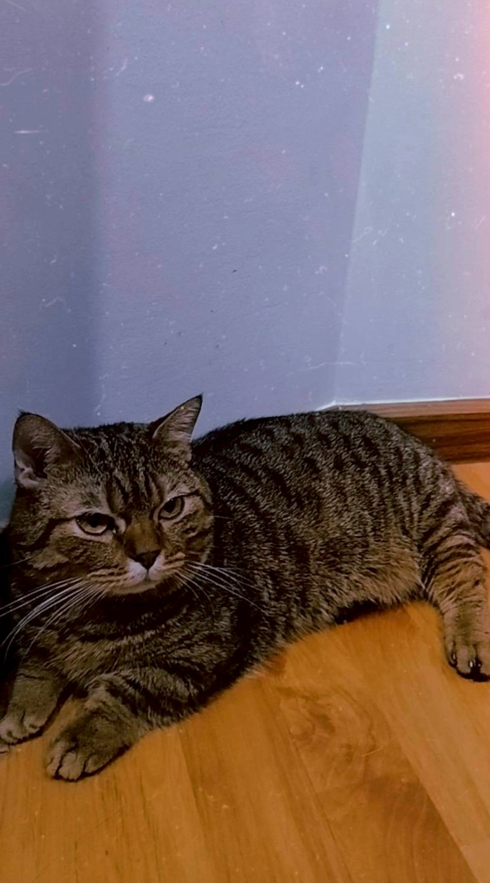 ร้านกระเป๋า eieiei