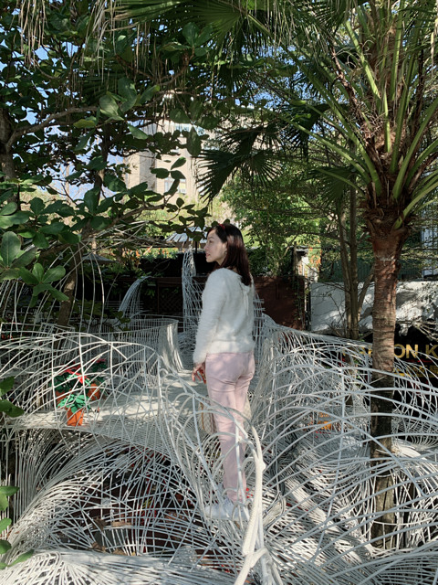 倪倪愛旅遊－『台中大坑一日遊推薦』台中近郊鳥語花香闔家出遊秘密花園-台中大坑紙箱王創意園區、東山水岸餐廳、東東芋圓直擊分享