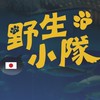 野生小隊（🇯🇵沖繩+🇰🇷濟州島1/12-17）