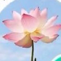 สำนักบัว382