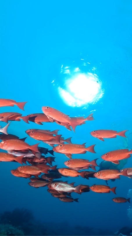 居恩潛水