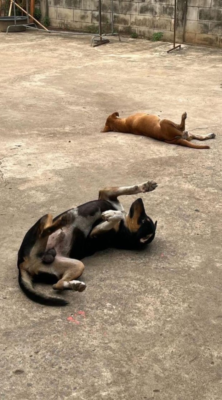 มุจุ๊กิตติน้านน🩷