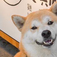 🐾柴可夫斯雞蛋糕Vip🐾     （怕吵可以關通知喔）