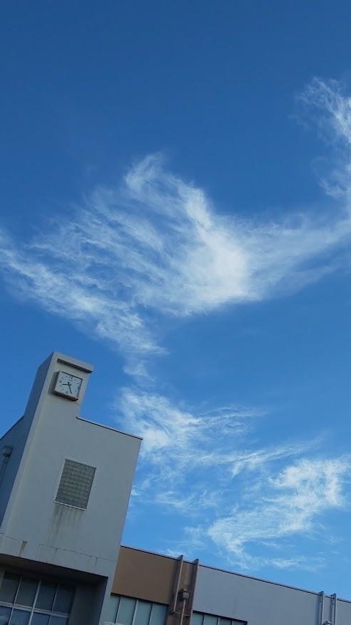 西南女学院同窓会人文学部会「シャロンの会」