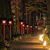 ＊遠くの狐がコンコンと＊全緩夢ハント