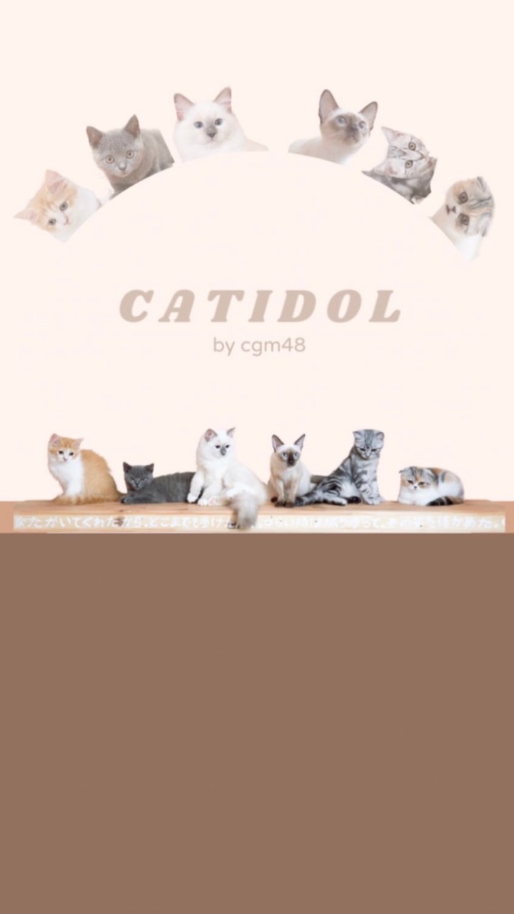 Catidol48のオープンチャット