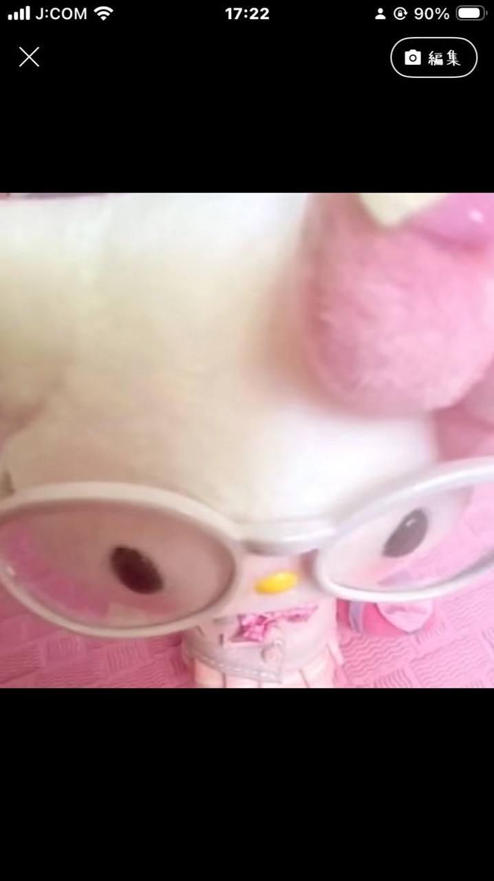 アイコンにできる可愛い写真館