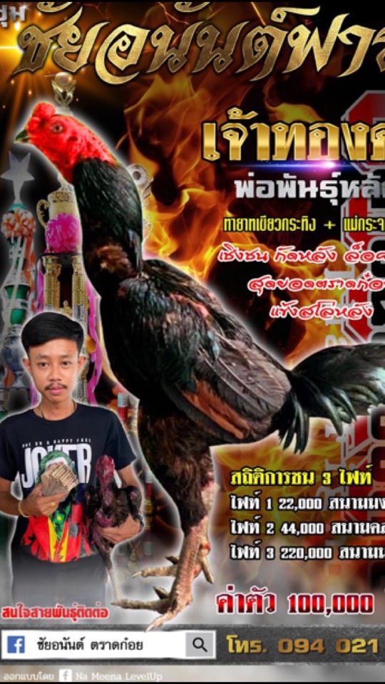 ชัยอนันต์ฟาร์มพิทบูล