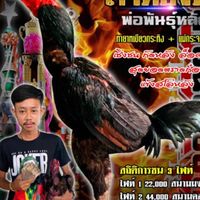 ชัยอนันต์ฟาร์มพิทบูล