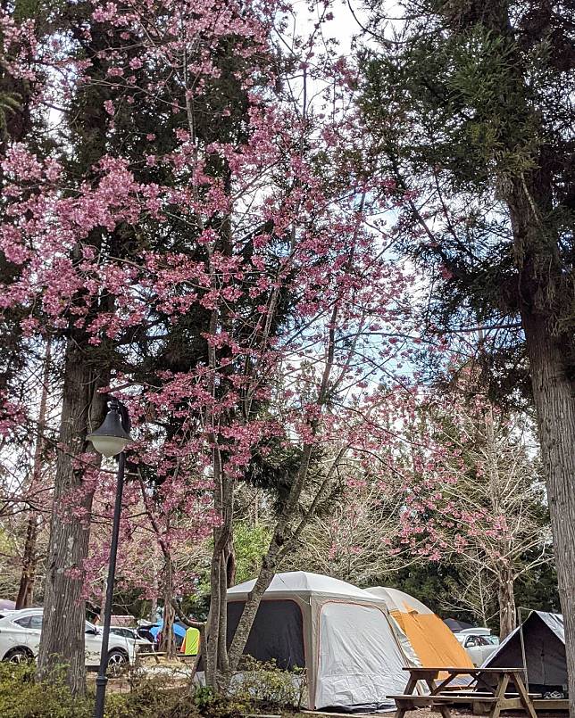 （圖片來源／IG @mingrurl）