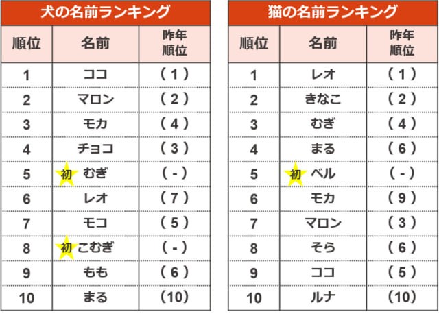 ペットの名前ランキング 犬1位は ココ 猫1位は レオ 犬種別 猫種別の1位は