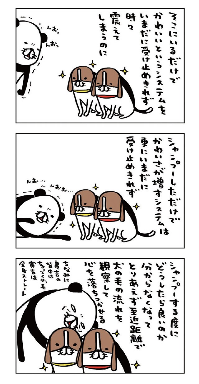 シャンプー後に犬のかわいさが増すのはなぜ その謎はいまだ受け止めきれず パンダと犬v ダ ヴィンチweb