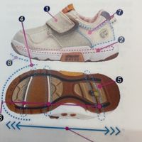 テヅカスタッフ向け足育講座シェア