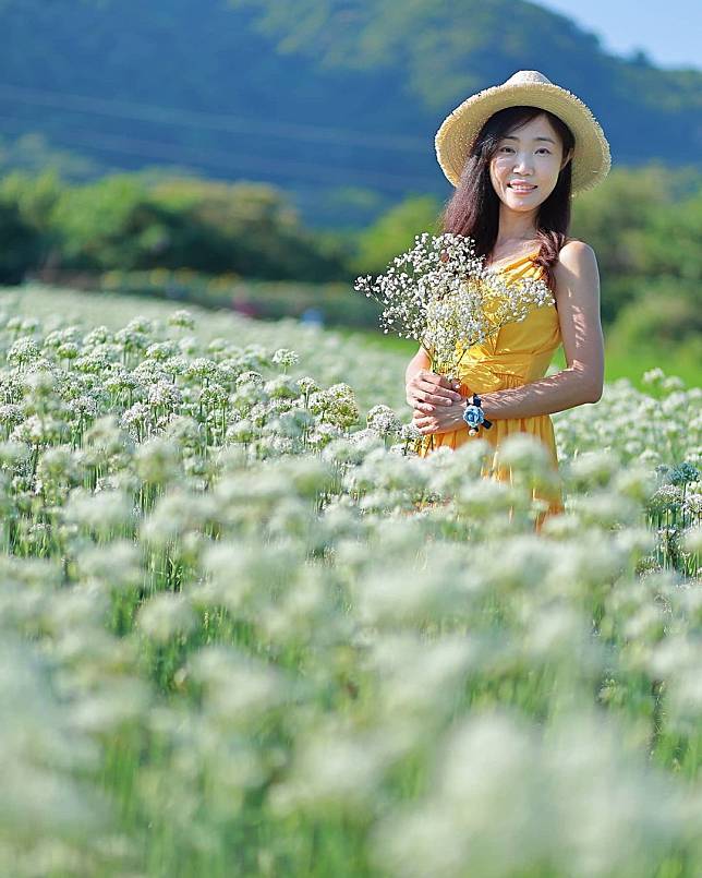 ▲大溪中新里韭菜田。（圖/IG @brenda__ou）