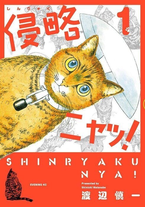 猫目線で猫の様々な問題にも切り込んでいく異色の猫漫画