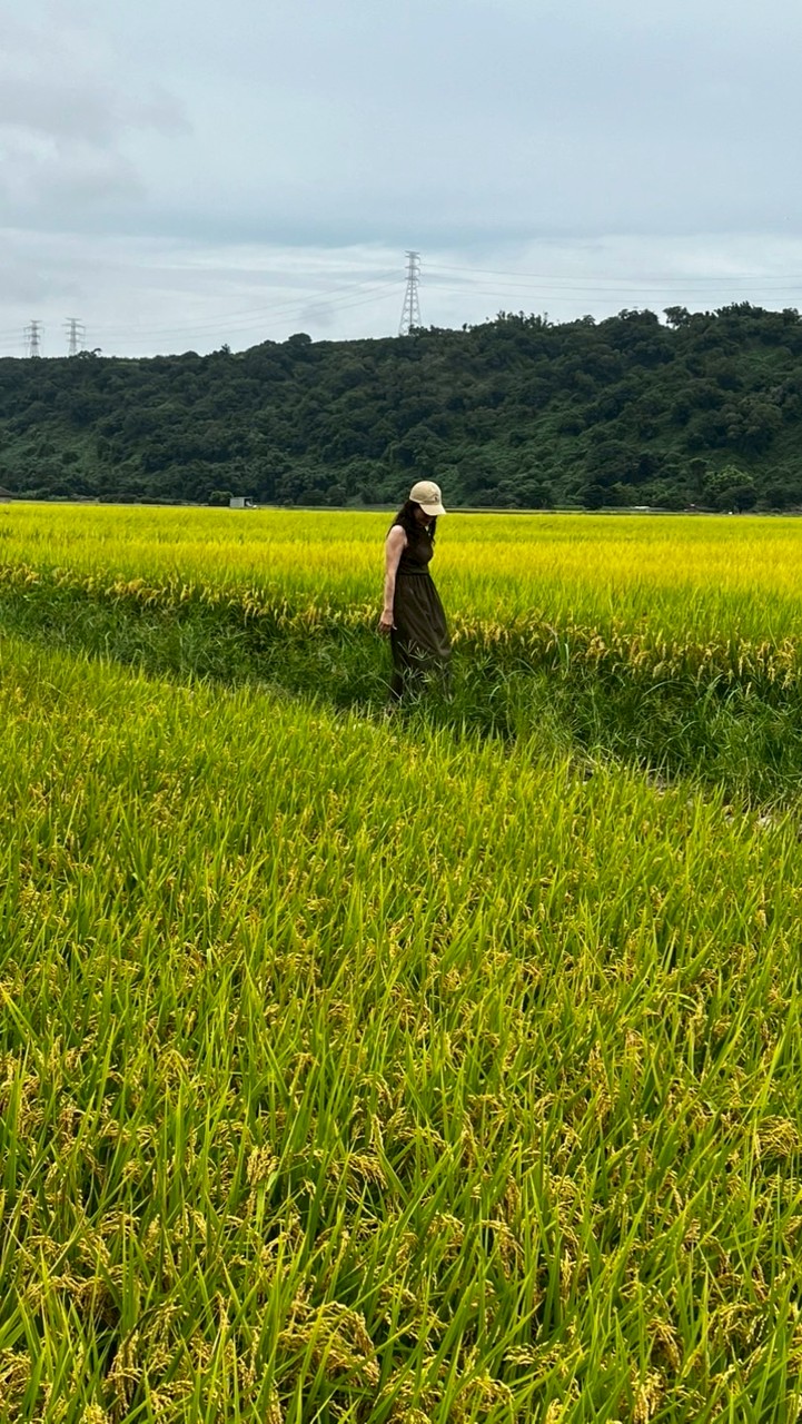 Coco社群