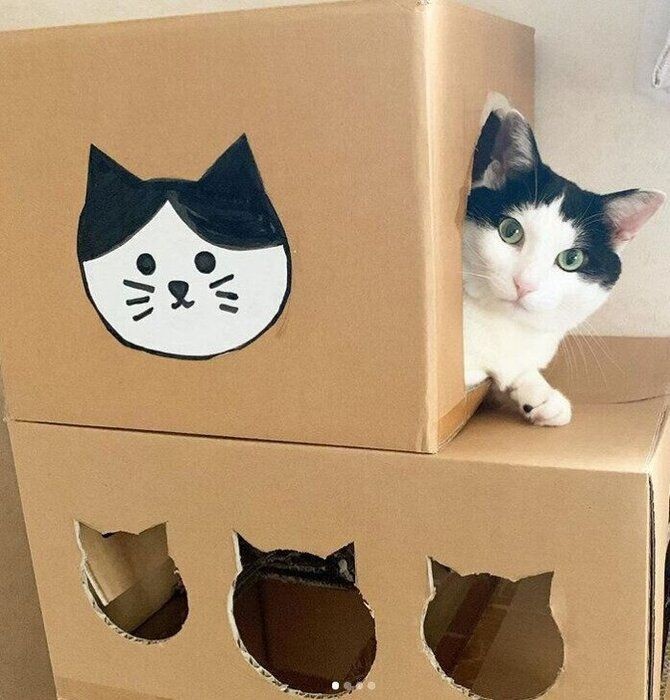 インスタグラムで発見 マネしたい 手作りキャットタワー