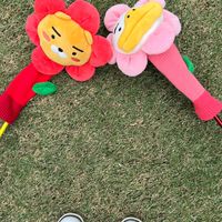 艾練球i 人練球群（限女學員😉