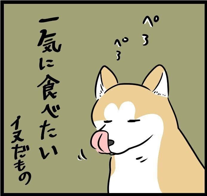 柴犬タロさんの気遣いが けなげで優しい