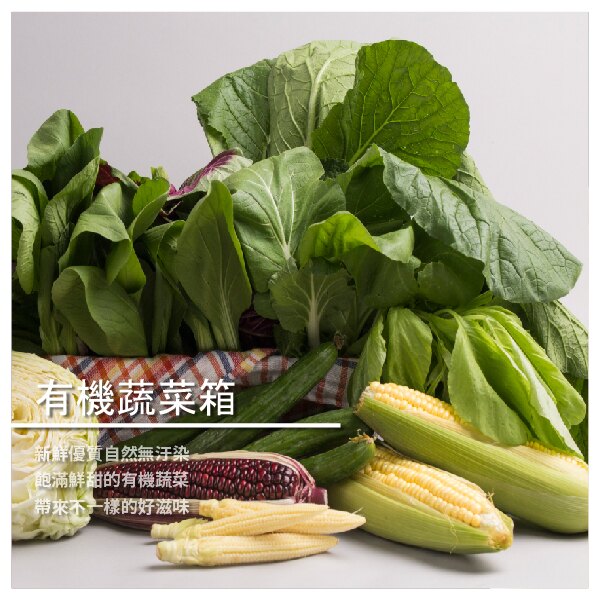 【橙莊有機農場】有機蔬菜箱 經典小箱 暫不提供自選！ ※每筆訂單限購2箱※