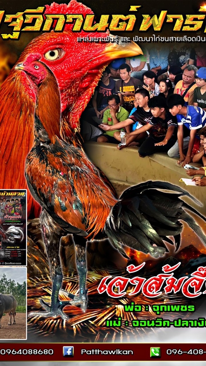 ปฐวีกานต์ ฟาร์ม