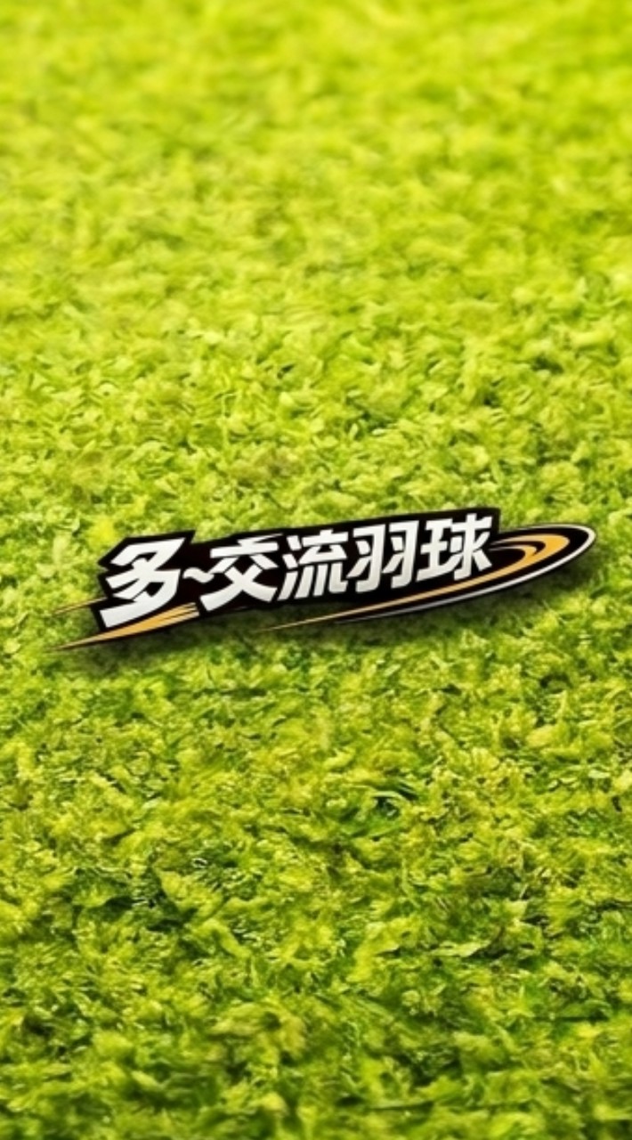 多~交流羽球（台中羽球）