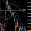 📈FX先出し＆リアル配信📈  初心者も歓迎✨🤗✨無料 見るだけ見た方いいかも？？
