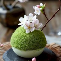 大人の友達作り🌸雑談🌸恋バナ🌸ライトク