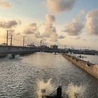 長好味 水產品、野生魚類 （鮪魚、旗魚 ）烏魚子 專賣店