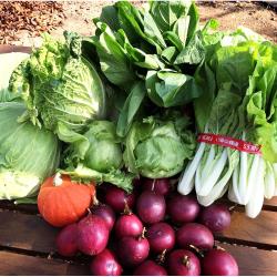 有機茄子（500G)、有機蒲瓜（600G)、有機冬瓜（切片）（600G)、有機高麗菜（600G)、有機玉米（500G)、有機小胡瓜（小黃瓜）（300G)◆原產地(國)：台灣◆保存期限：1個月(葉菜類建