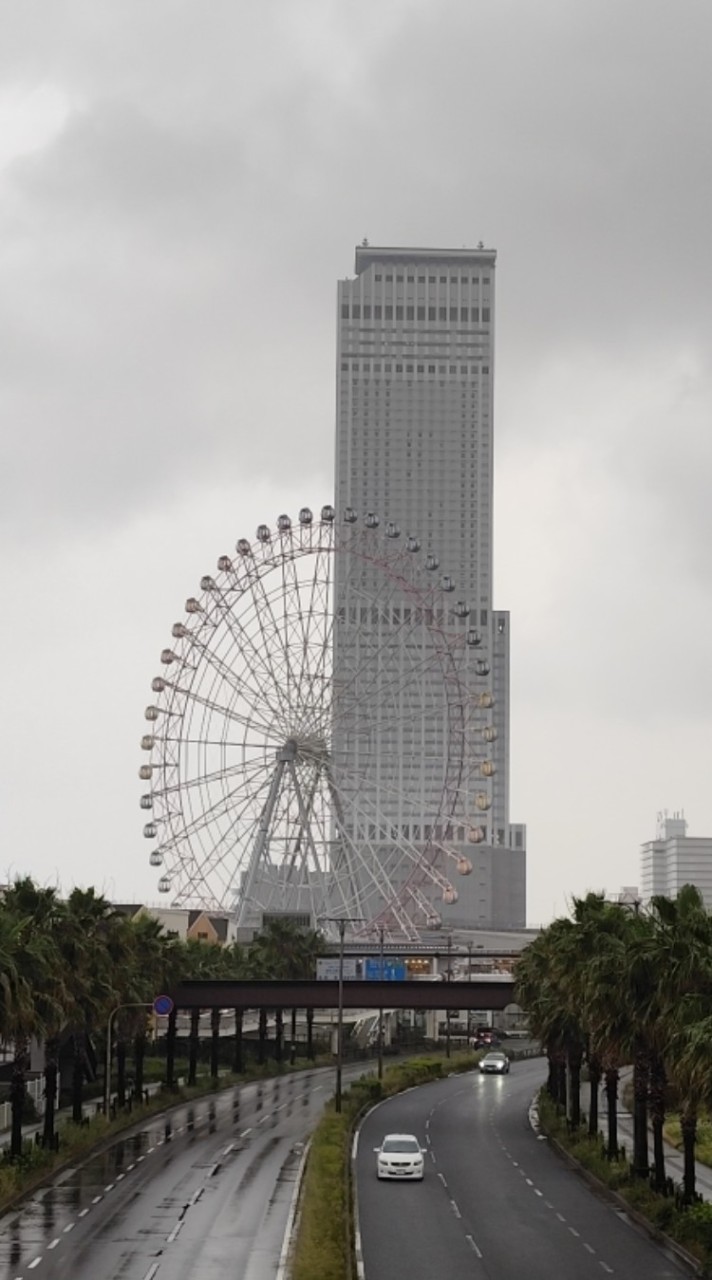 宇治金時代官山前有個嚴圓眼燕魚兒魚兒游
