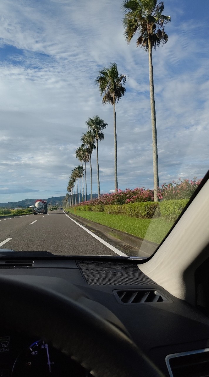 宮崎 🌴 雑談 ┗|∵|┓ 宮崎県 釣り サーフィン 配信