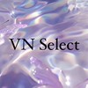 VN Select 選貨代購