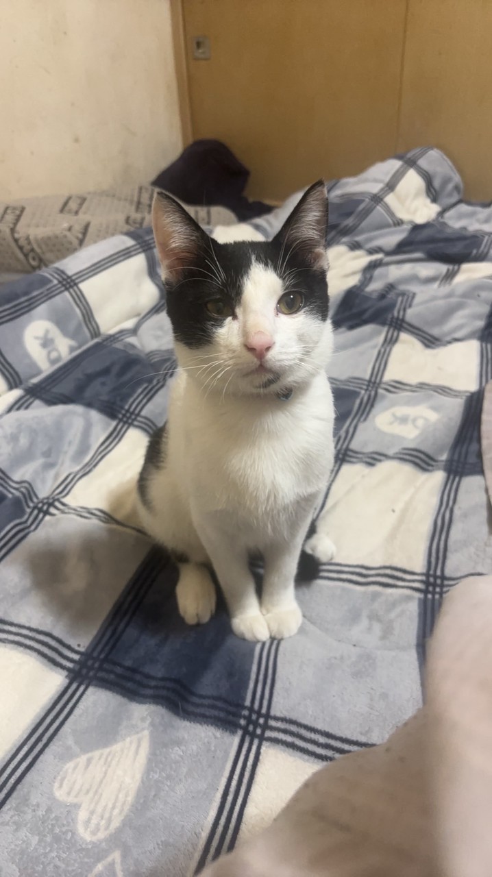 猛猛直播娛樂聊天粉絲團