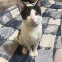 猛猛直播娛樂聊天粉絲團